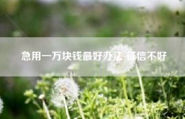 急用一万块钱最好办法 征信不好