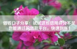 借钱口子分享：试试这些信用评分不足也能通过的借款平台，快速到账！