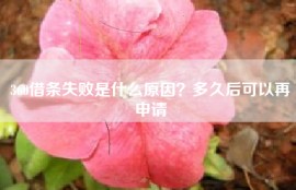 360借条失败是什么原因？多久后可以再申请