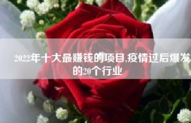 ﻿2022年十大最赚钱的项目,疫情过后爆发的20个行业