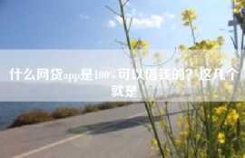 什么网贷app是100%可以借钱的？这几个就是