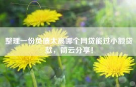 整理一份负债太高哪个网贷能过小额贷款，简云分享！