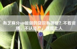 有芝麻分600能做的贷款有哪些？不看资质，不认资产，速度上人