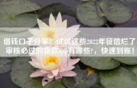借钱口子分享：试试这些2022年征信烂了审核必过的贷款app有哪些?，快速到账！