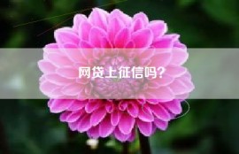 网贷上征信吗？