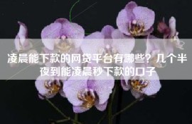 凌晨能下款的网贷平台有哪些？几个半夜到能凌晨秒下款的口子