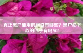 真正黑户能用的网贷有哪些？黑户必下款的口子有吗2022