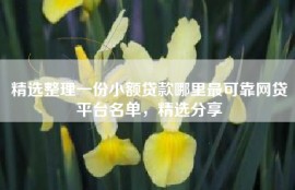 精选整理一份小额贷款哪里最可靠网贷平台名单，精选分享