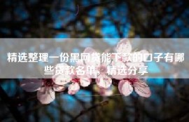 精选整理一份黑网贷能下款的口子有哪些贷款名单，精选分享