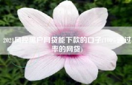 2021风控黑户网贷能下款的口子(100%通过率的网贷)
