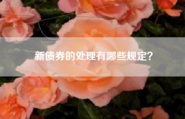 新债券的处理有哪些规定？