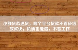 小额贷款速贷，哪个平台贷款不看征信放款快，负债也能借，不看工作