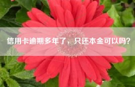信用卡逾期多年了，只还本金可以吗？