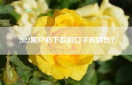 2022黑户必下款的口子有哪些？