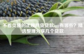 不看负债的正规网贷贷款app有哪些？精选整理分享几个贷款