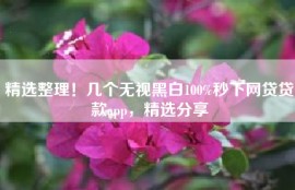 精选整理！几个无视黑白100%秒下网贷贷款app，精选分享