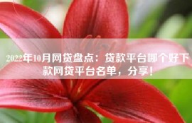 2022年10月网贷盘点：贷款平台哪个好下款网贷平台名单，分享！