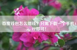 百度钱包怎么借钱？只需下载一个手机APP即可！