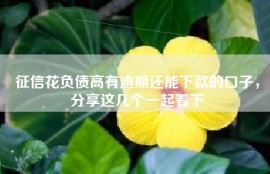 征信花负债高有逾期还能下款的口子，分享这几个一起看下