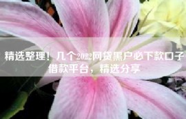 精选整理！几个2022网贷黑户必下款口子借款平台，精选分享