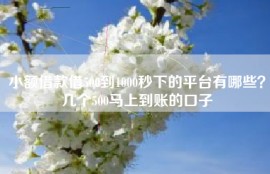 小额借款借500到1000秒下的平台有哪些？几个500马上到账的口子
