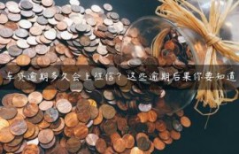 车贷逾期多久会上征信？这些逾期后果你要知道