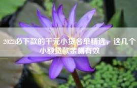 2022必下款的千元小贷名单精选，这几个小额贷款亲测有效