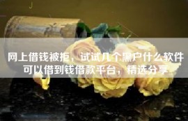 网上借钱被拒，试试几个黑户什么软件可以借到钱借款平台，精选分享