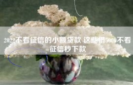 2022不看征信的小额贷款 这些借5000不看征信秒下款