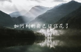 如何判断自己征信花了