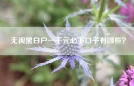 无视黑白户一千元必下口子有哪些？