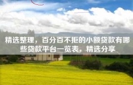 精选整理，百分百不拒的小额贷款有哪些贷款平台一览表，精选分享