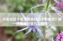 不看征信不看负债借款口子有哪些？精选整理分享几个软件