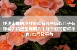 快速审批的小额贷款有哪些借款口子有哪些？精选整理的几个好下款的借款平台2022网贷平台