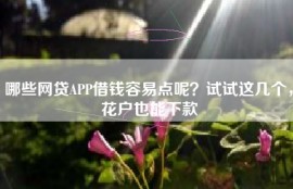 哪些网贷APP借钱容易点呢？试试这几个，花户也能下款