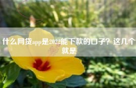 什么网贷app是2022能下款的口子？这几个就是