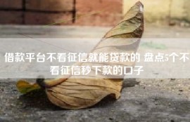借款平台不看征信就能贷款的 盘点5个不看征信秒下款的口子