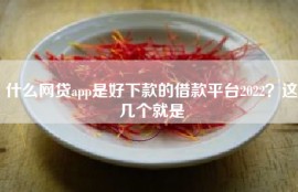 什么网贷app是好下款的借款平台2022？这几个就是
