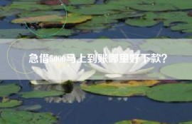 急借5000马上到账哪里好下款？