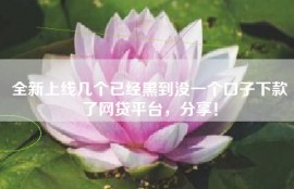 全新上线几个已经黑到没一个口子下款了网贷平台，分享！