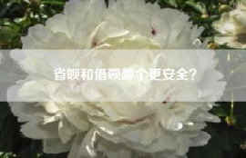 省呗和借呗哪个更安全？
