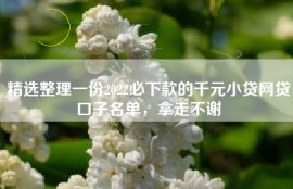 精选整理一份2022必下款的千元小贷网贷口子名单，拿走不谢