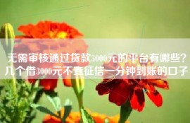 无需审核通过贷款3000元的平台有哪些？几个借3000元不查征信一分钟到账的口子