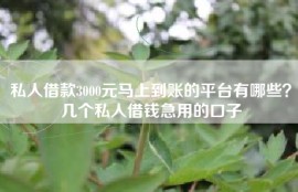 私人借款3000元马上到账的平台有哪些？几个私人借钱急用的口子