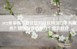 2022免审核不看征信的贷款网贷口子有哪些？精选整理分享几个借款软件