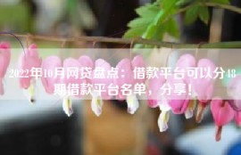 2022年10月网贷盘点：借款平台可以分48期借款平台名单，分享！