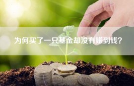 为何买了一只基金却没有赚到钱？