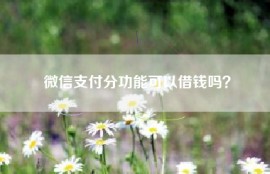 微信支付分功能可以借钱吗？