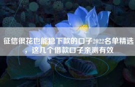 征信很花也能稳下款的口子2022名单精选，这几个借款口子亲测有效