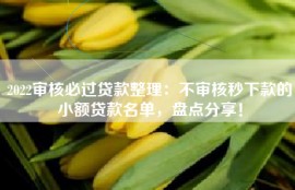 2022审核必过贷款整理：不审核秒下款的小额贷款名单，盘点分享！